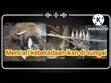 Petualangan Mencari Ikan Laut Langka